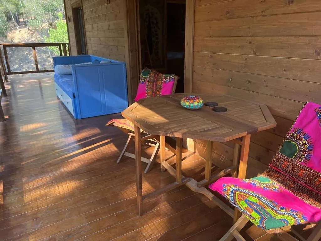 Rustic Cabin In The Woods/Cabana En El Bosque Amer Chalet